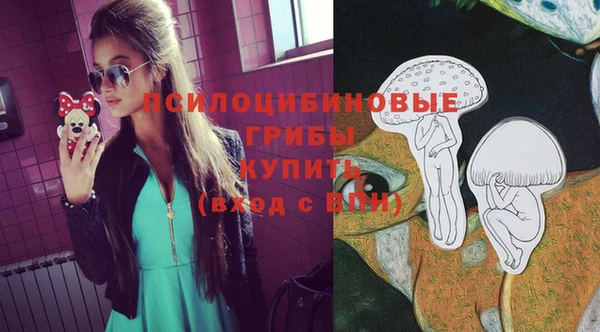 первитин Абинск