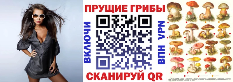 Галлюциногенные грибы Magic Shrooms  Лебедянь 